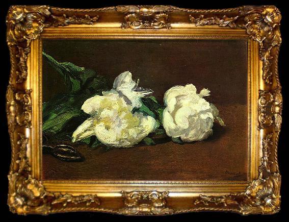 framed  Edouard Manet Stilleben, Weibe Pfingstrosen, ta009-2